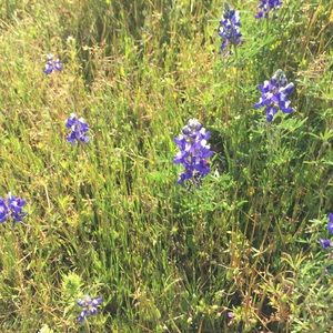 Meet your Posher, Claire